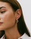 Chunky Eternal Earrings Gold