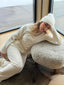 Chien Cardigan