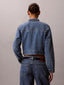 Easy Cropped Denim Jacket Tinted