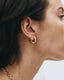 Crystalite Hoops L Gold