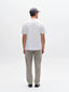 Gabnapoli19 Phin Grs
