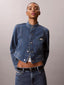 Easy Cropped Denim Jacket Tinted